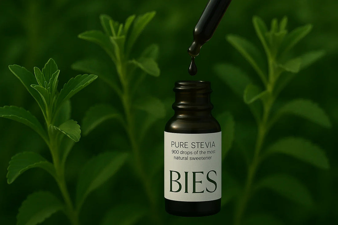 ¿Cómo se transforma la planta de Stevia en BIES? Proceso natural de cultivo en España - BIES HOUSE