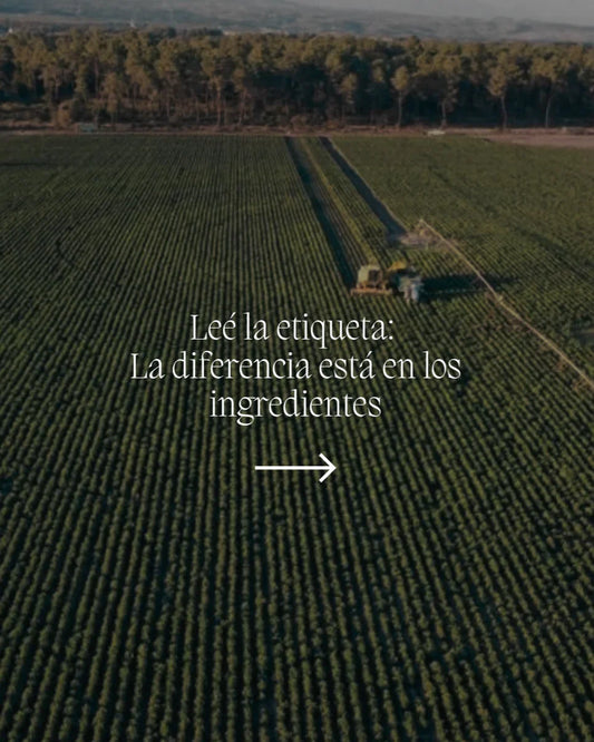 ¿Por qué BIES en lugar de otras "Stevias"? - BIES HOUSE