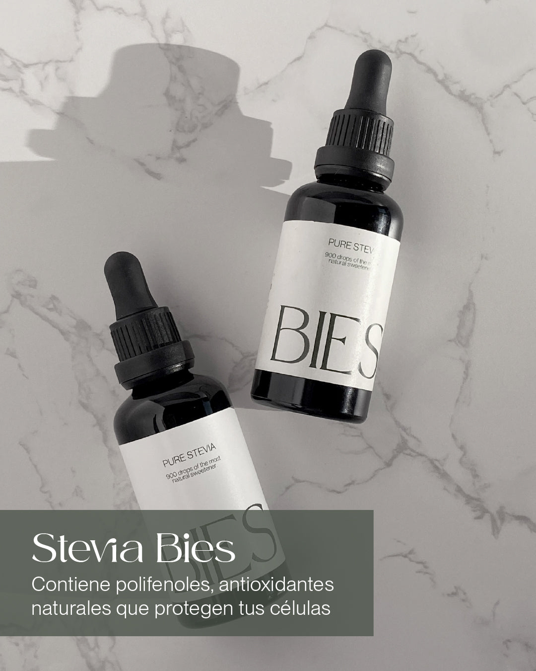 Stevia BIES House — Cultivada en La Vera, Extremadura