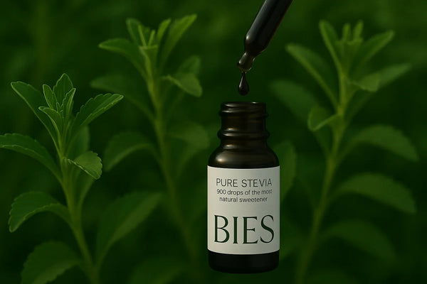 ¿Cómo se transforma la planta de Stevia en BIES? Proceso natural de cultivo en España - BIES HOUSE