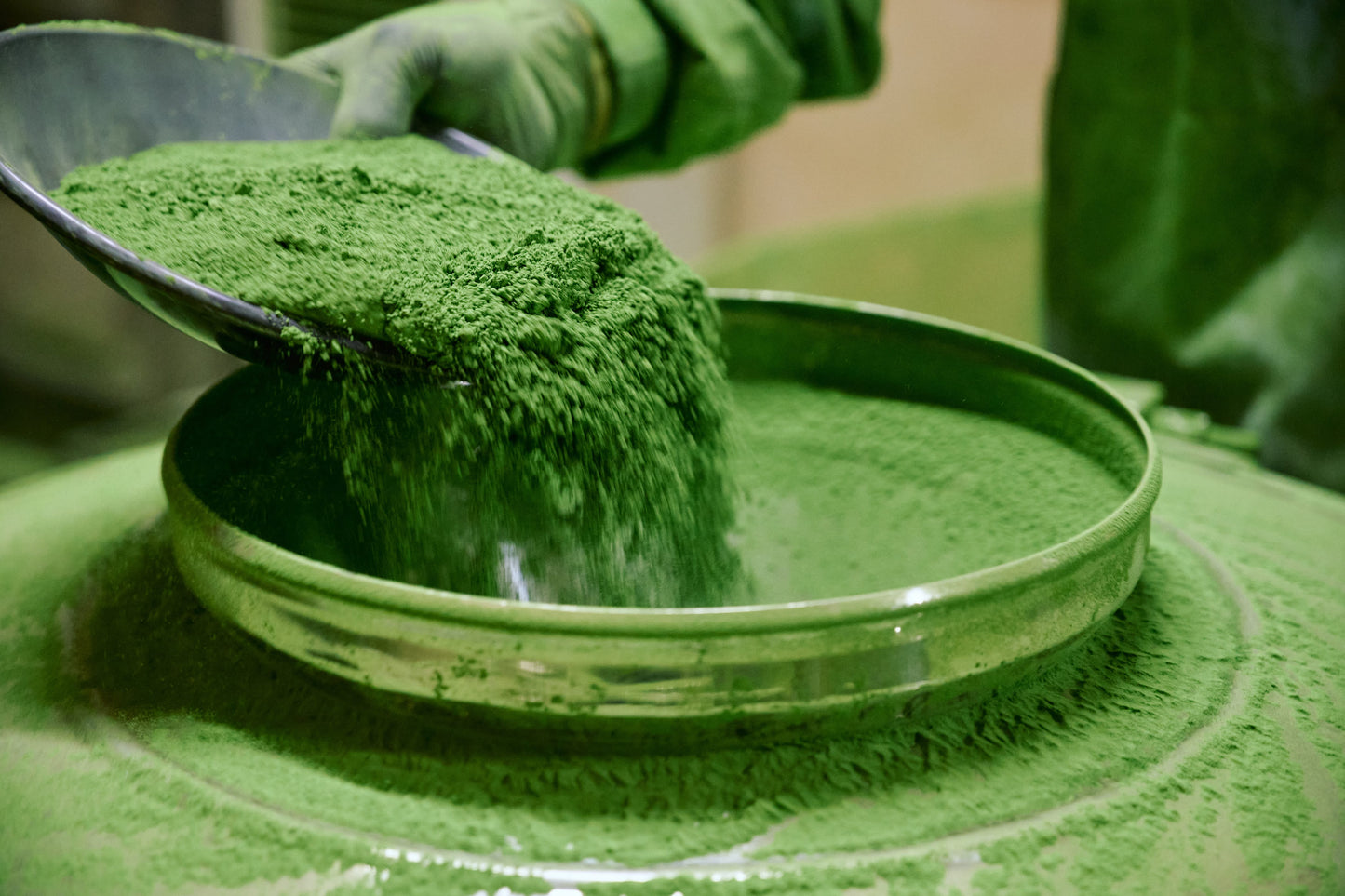 Té Matcha - BIES HOUSE