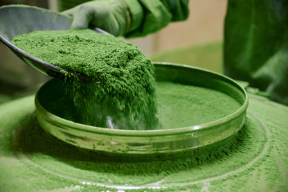 Té Matcha - BIES HOUSE