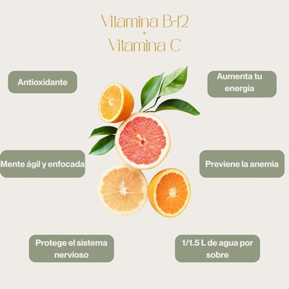 2xBebida Instantánea - Cítricos con B12