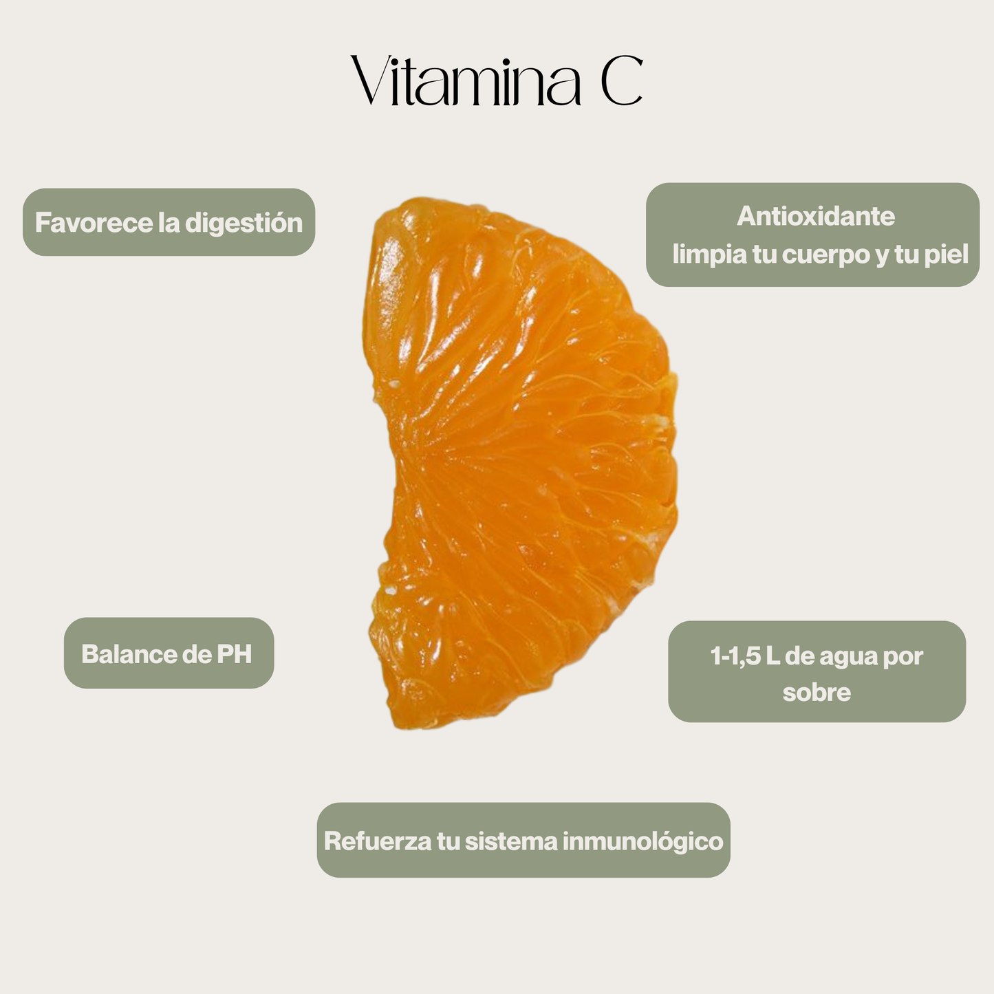 2xBebida Instantanea - Mandarina