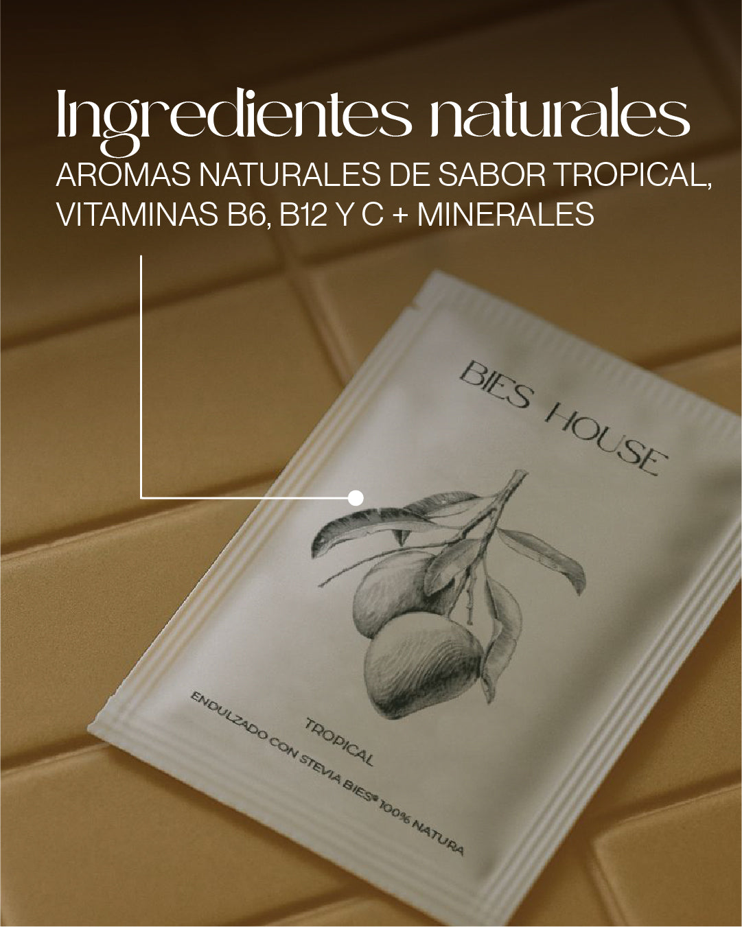 Bebida Instantánea -Sabor Tropical