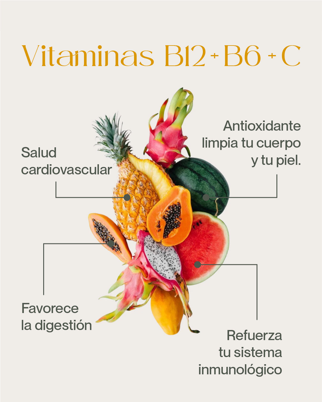 Bebida Instantánea -Sabor Tropical