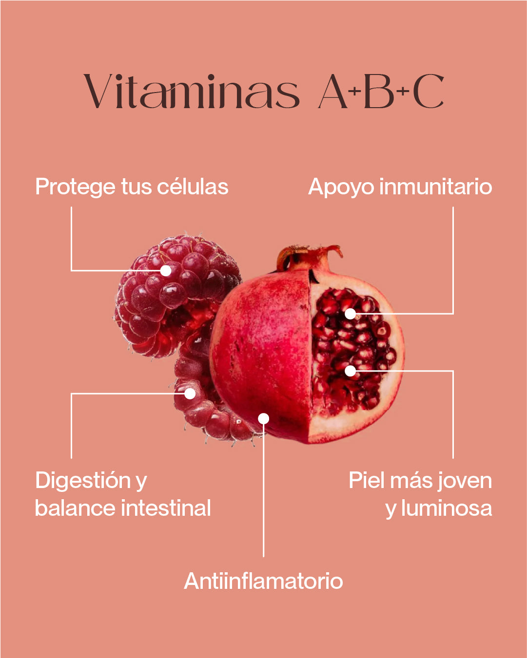 Bebida Instantánea DETOX–Sabor Granada & Frambuesa