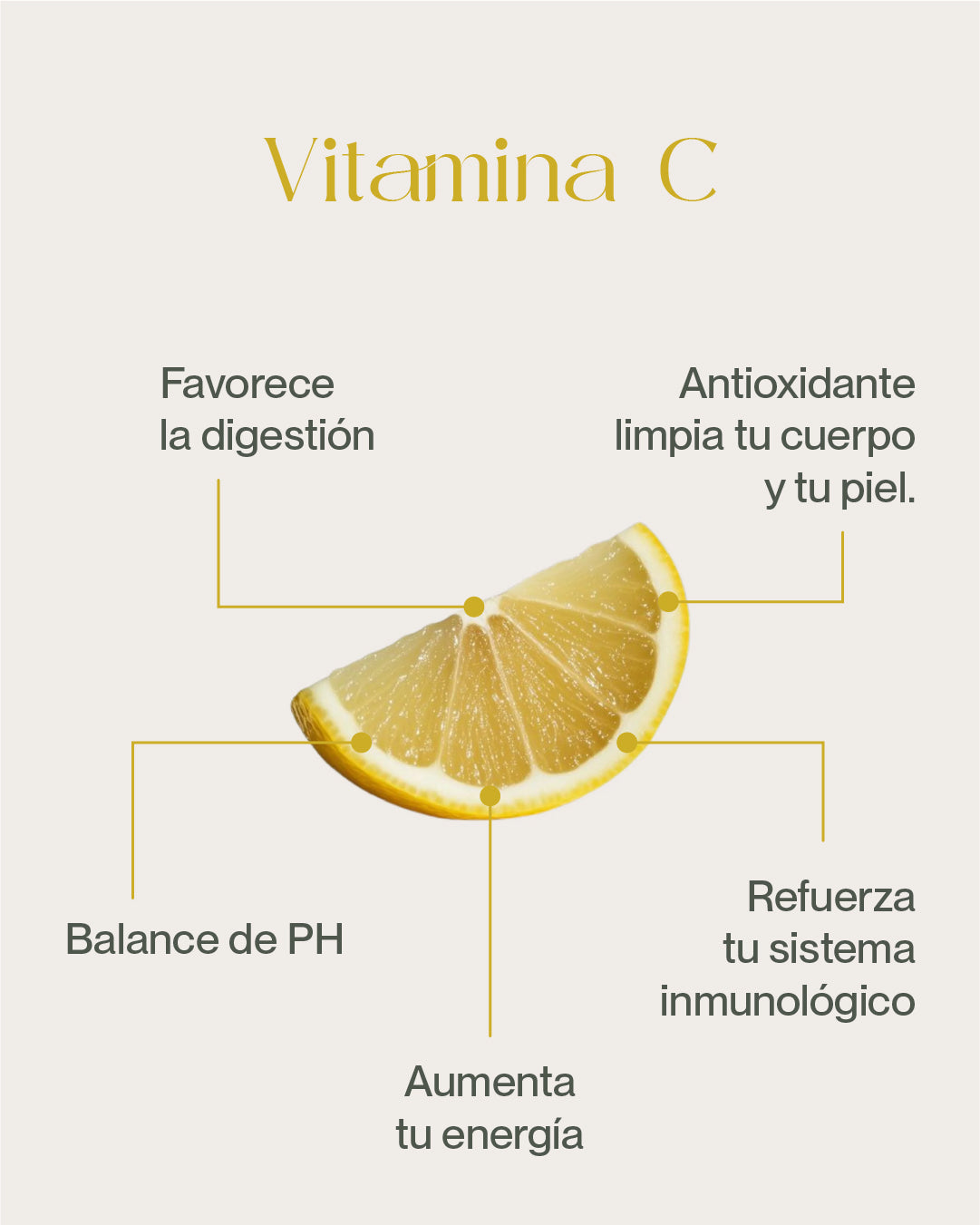 Bebida Instantánea - Sabor Limón