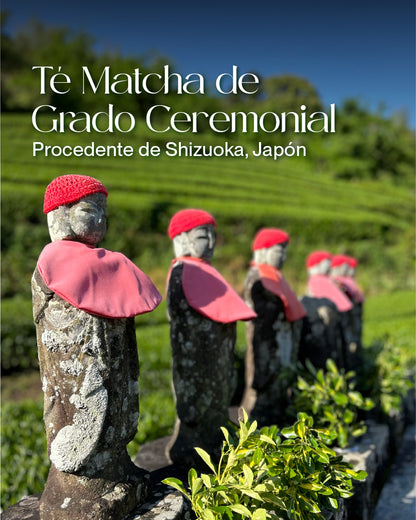 Té Matcha Ceremonial