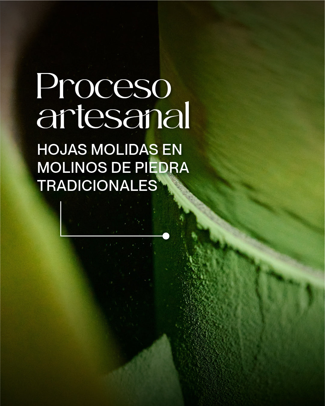 Té Matcha Ceremonial