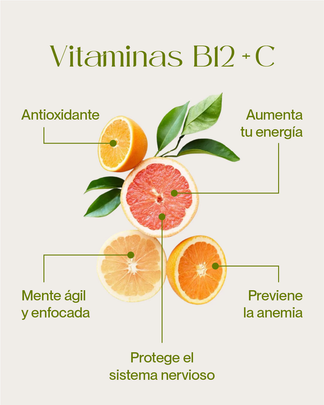 Bebida Instantánea - Sabor Cítricos con B12