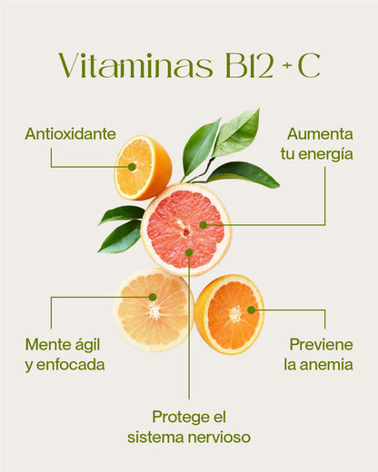 Bebida Instantánea - Sabor Cítricos con B12