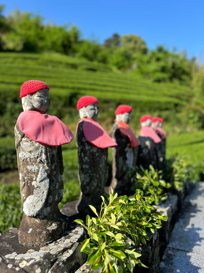 Té Matcha - BIES HOUSE