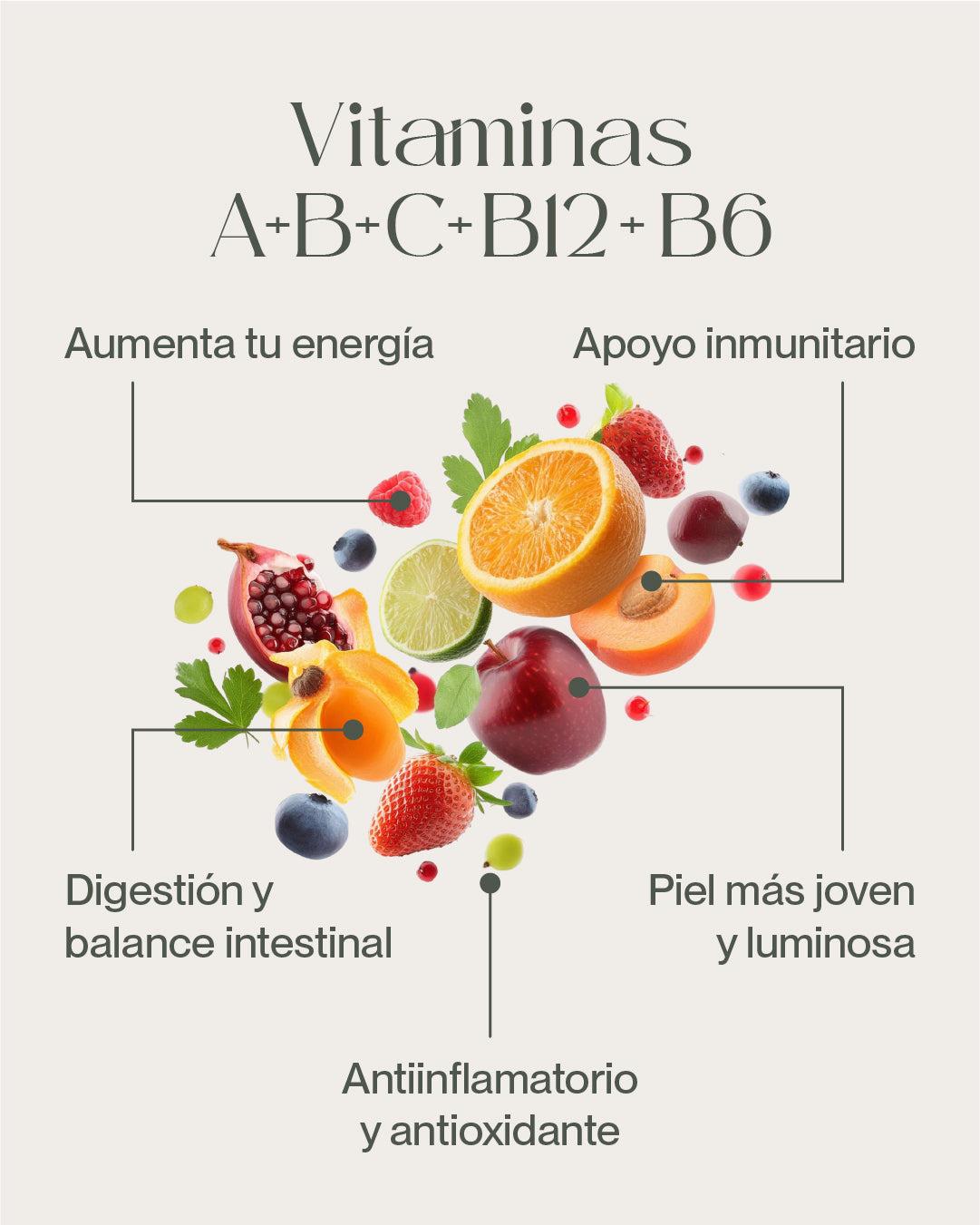 Bebida Instantánea Mix – 5 Sabores